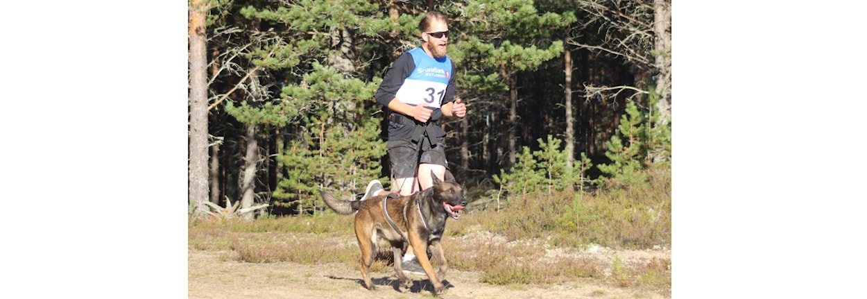 Barmark: Løp i Stavåsen, NC og WC